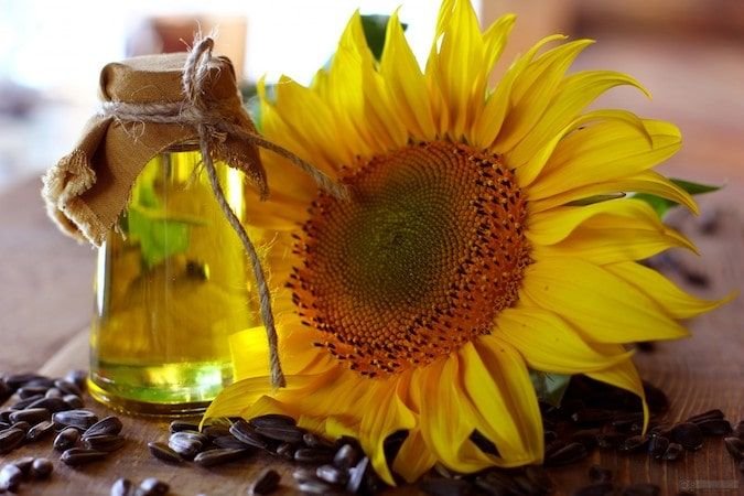 aceite de girasol propiedades