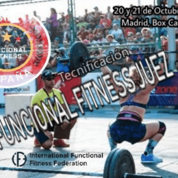 sf3 tecnico juez